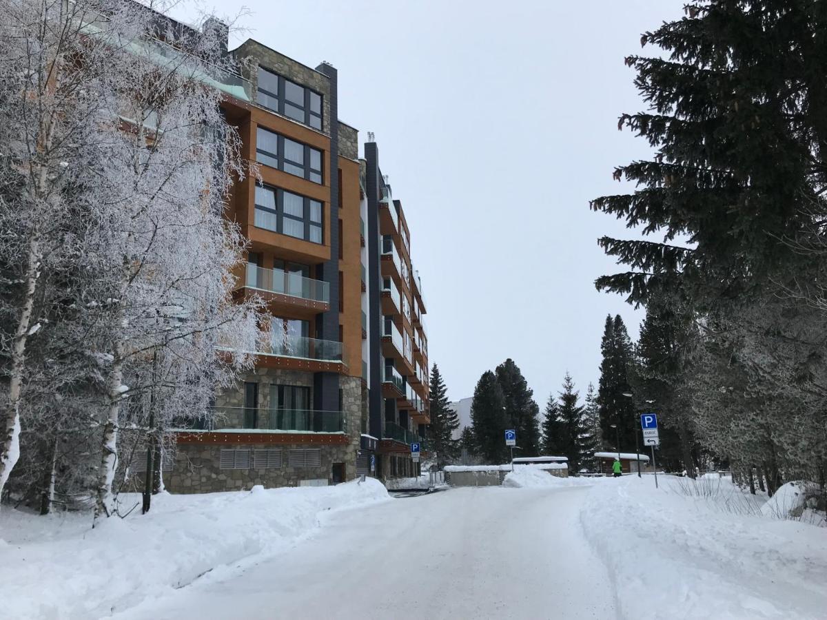 Apartman S Vyhladom Na Stity Ovruc 312 Штрбске-Плесо Экстерьер фото